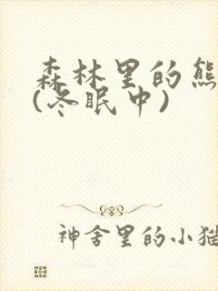 森林里的熊先生(冬眠中)