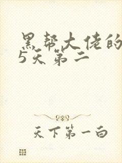 黑帮大佬的365天第二