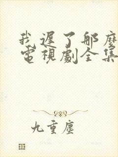 我迟了那么多年电视剧全集免费播放