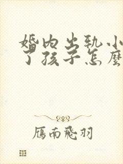 婚内出轨小三有了孩子怎么办