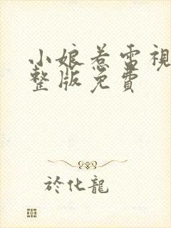 小娘惹电视剧完整版免费封面