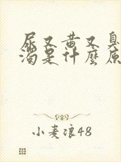 尿又黄又臭又浑浊是什么原因