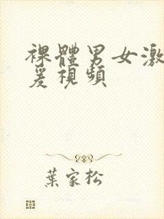 裸体男女激情做爰视频