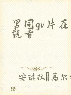 男同gv片在线观看封面