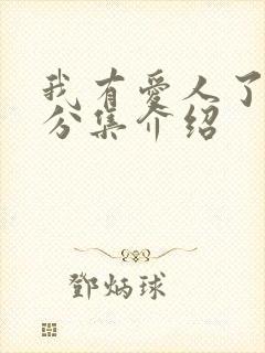 我有爱人了剧情分集介绍