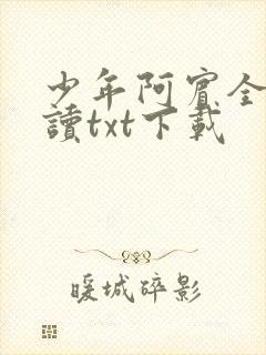 少年阿宾全文阅读txt下载
