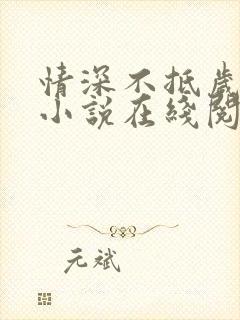 情深不抵岁月长小说在线阅读