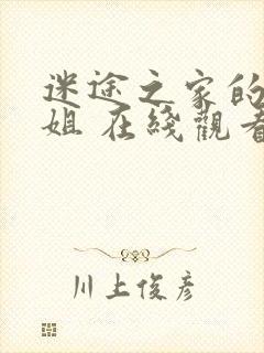 迷途之家的大姐姐 在线观看封面