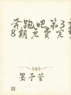 奔跑吧第3季第8期免费完整版