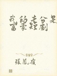 我的老公是隐形富豪短剧