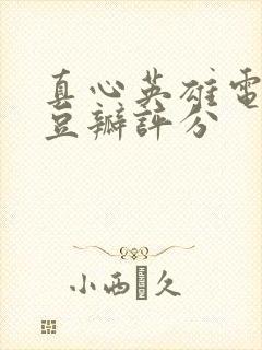 真心英雄电视剧豆瓣评分