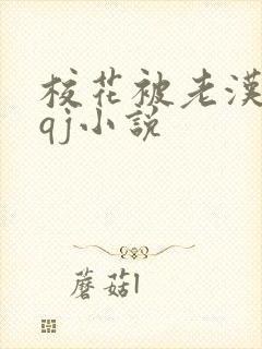 校花被老汉狂肉qj小说