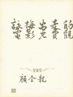 咏梅出走的决心电影免费观看全集封面