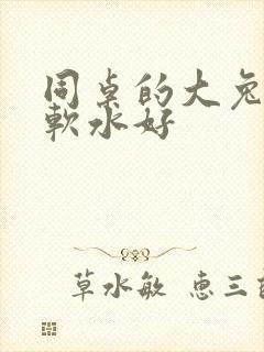 同桌的大兔子好软水好