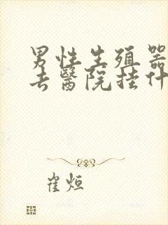 男性生殖器检查去医院挂什么科