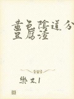 黄色阴道分泌物豆腐渣