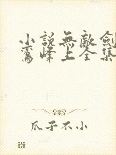 小说无敌剑域青鸾峰上全集