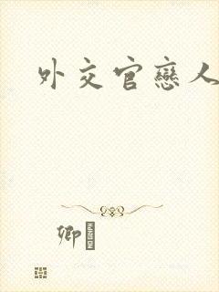 外交官恋人小说封面