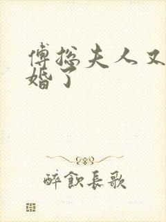 傅总夫人又闹离婚了