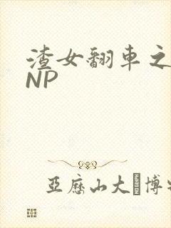 渣女翻车之后 NP封面