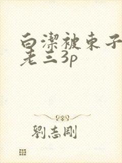 白洁被东子老二老三3p
