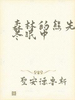 森林的熊先生,冬眠中