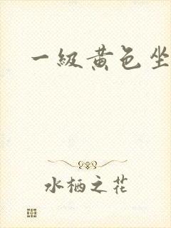 一级黄色坐爱片封面