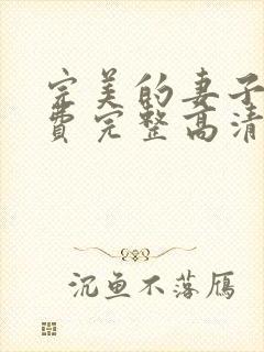 完美的妻子5免费完整高清韩剧封面