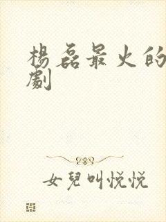 杨磊最火的三部剧