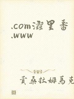.com涩里番.www