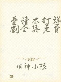 爱情不打烊电视剧全集免费