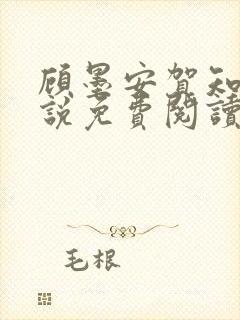 顾墨安贺知夏小说免费阅读最新章节