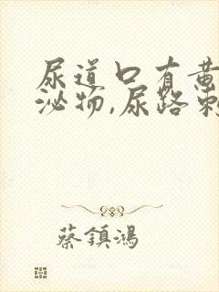 尿道口有黄色分泌物,尿路刺痛