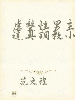 虐双性男主身的道具调教小说