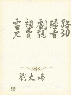 电视剧归路全集免费观看30集完整版