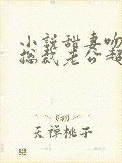 小说甜妻吻安:总裁老公超棒的封面