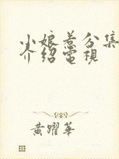 小娘惹分集剧情介绍电视封面