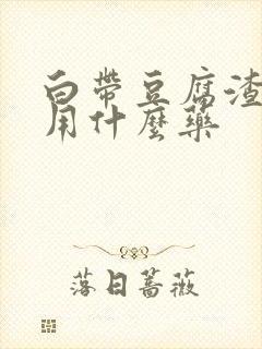 白带豆腐渣瘙痒用什么药