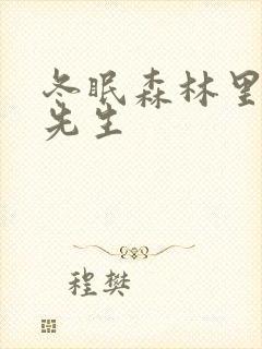 冬眠森林里的熊先生