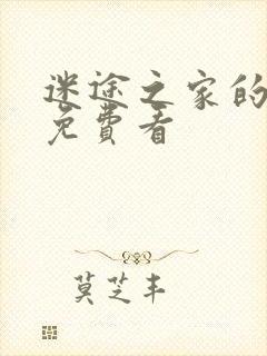 迷途之家的姐姐免费看封面