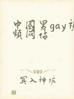 中国男gay视频网站