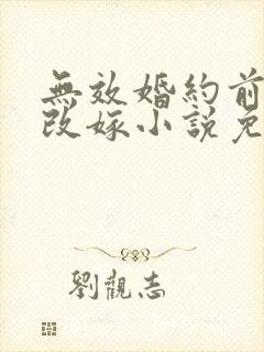 无效婚约前妻要改嫁小说免费阅读