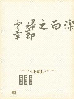 少妇之白洁最新章节