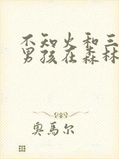 不知火和三个小男孩在森林公园封面