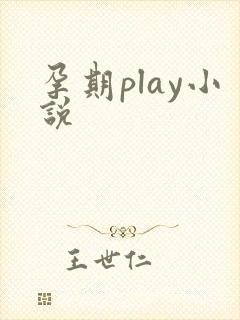 孕期play小说