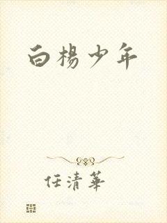 白杨少年封面