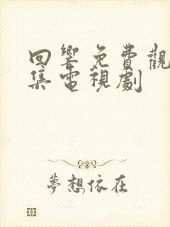 回响免费观看全集电视剧