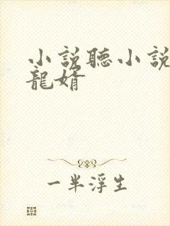 小说听小说上门龙婿