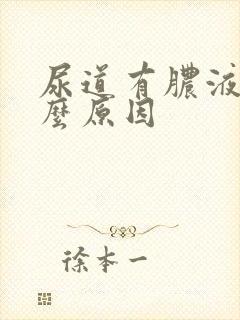 尿道有脓液是什么原因