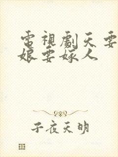 电视剧天要下雨娘要嫁人